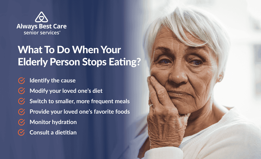 An infographic highlighting what you should do when an elderly loved one stops eating