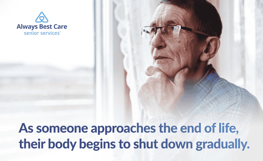 An infographic highlighting why an elderly person stops eating when they’re approaching end of life