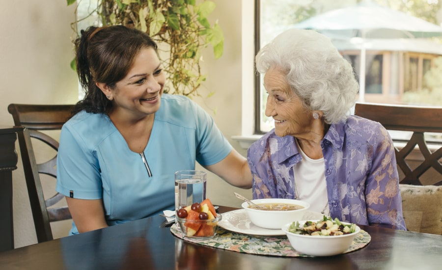 a care giver and an old woman