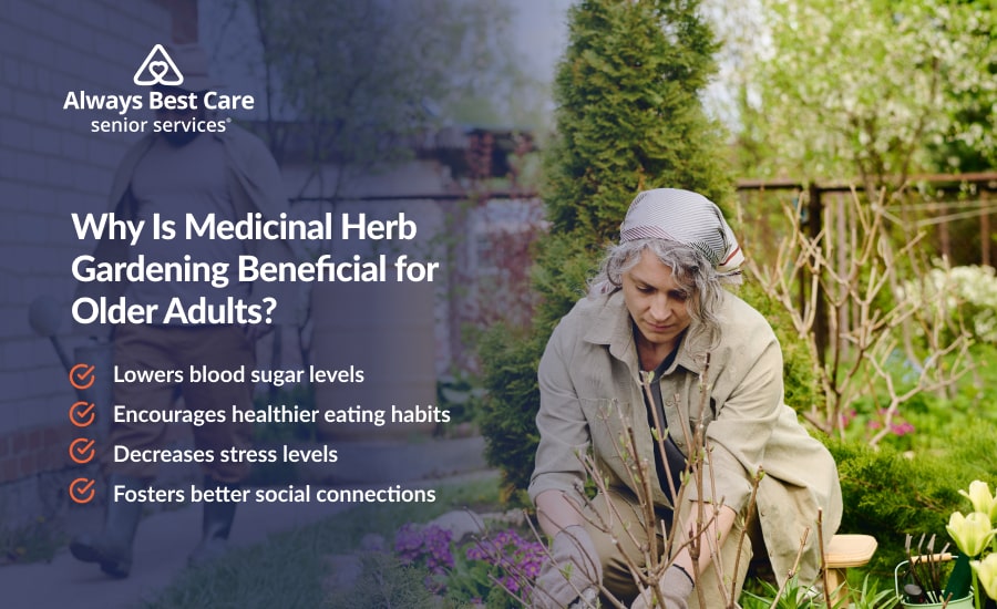 An infographic highlighting the key benefits of gardening