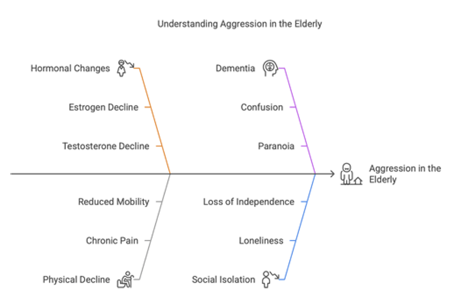 An infographic showing common reasons why old people are so mean