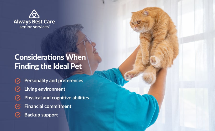 An infographic highlighting the importance of having backup pet care plans for seniors during illness or recovery