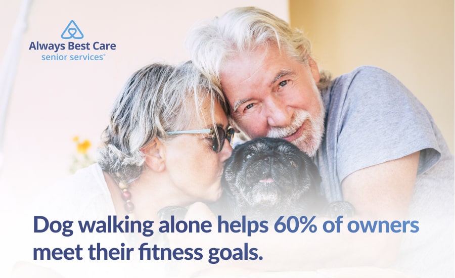 An infographic highlighting how pet ownership helps improve seniors' physical health